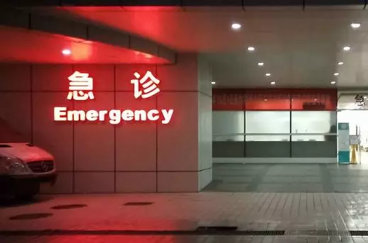 被咬女孩脑死亡!这就是真相!医生曝光事件经过及原因详情真相让人不寒而栗....(