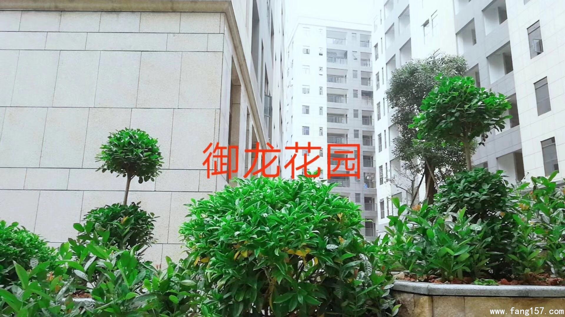 СȨ ˴ίͳ¥԰3ʽСԴͣ