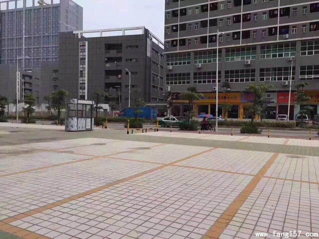 СȨ  ˴ίͳ¥ί 