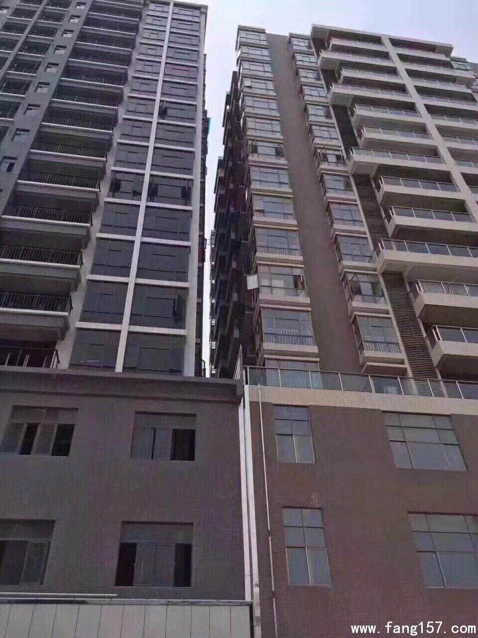 СȨ  ˴ίͳ¥ί 