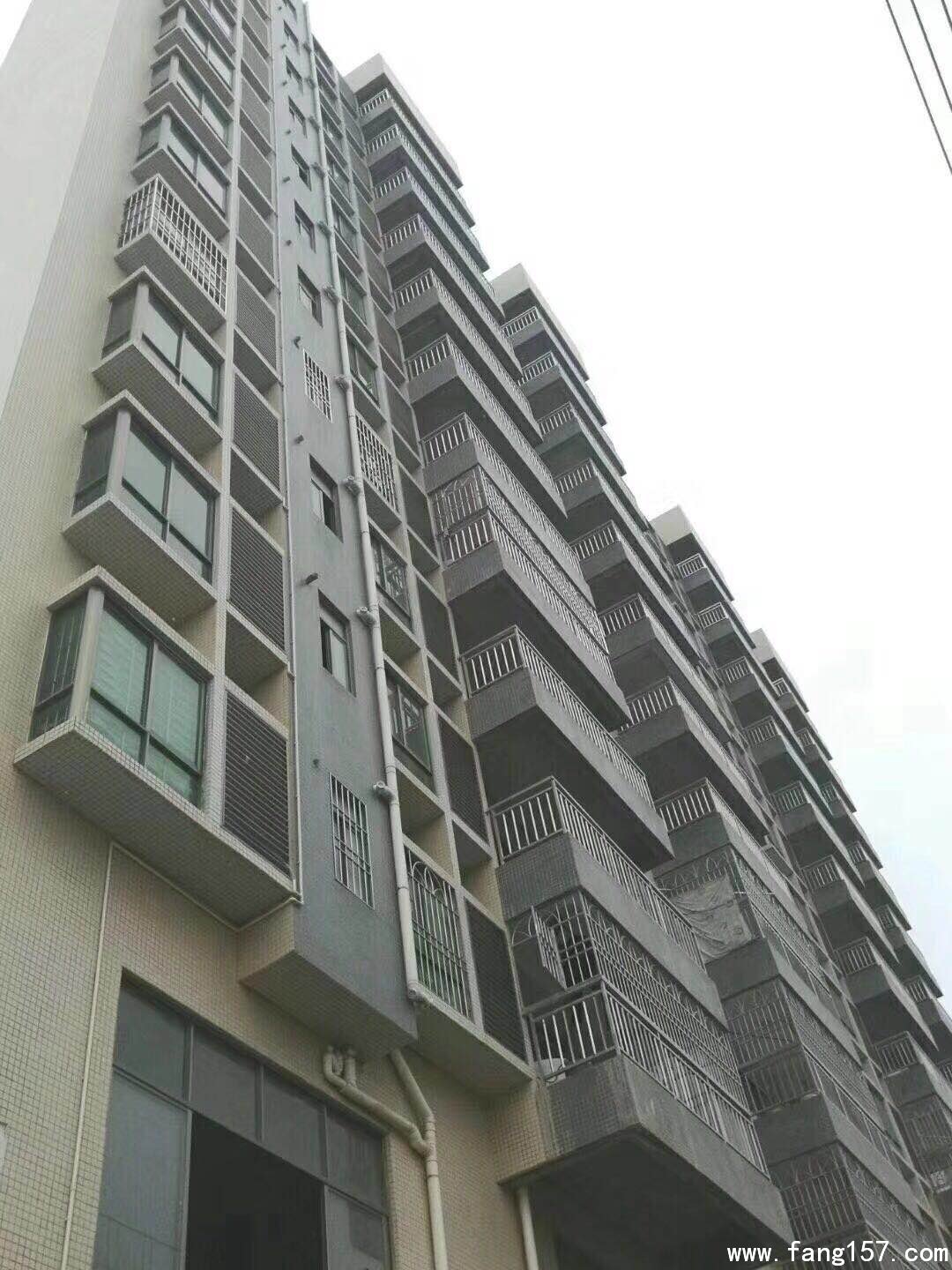 СȨ ʯίʷ 34200һƽ