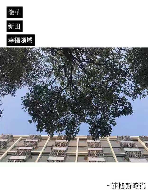 ûѴίķ46.8