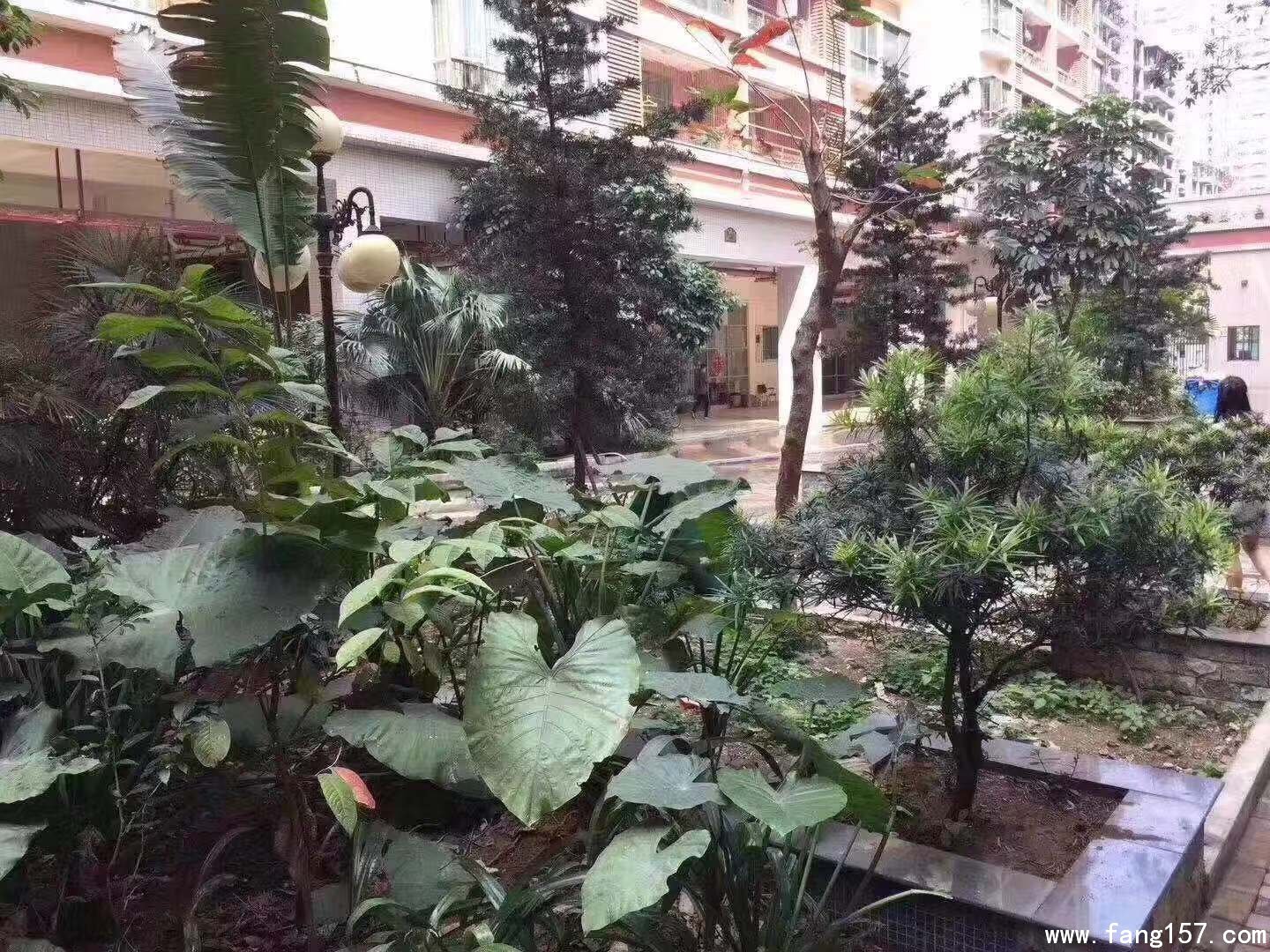 ɳίϡȱСA039;̱׸ɷ