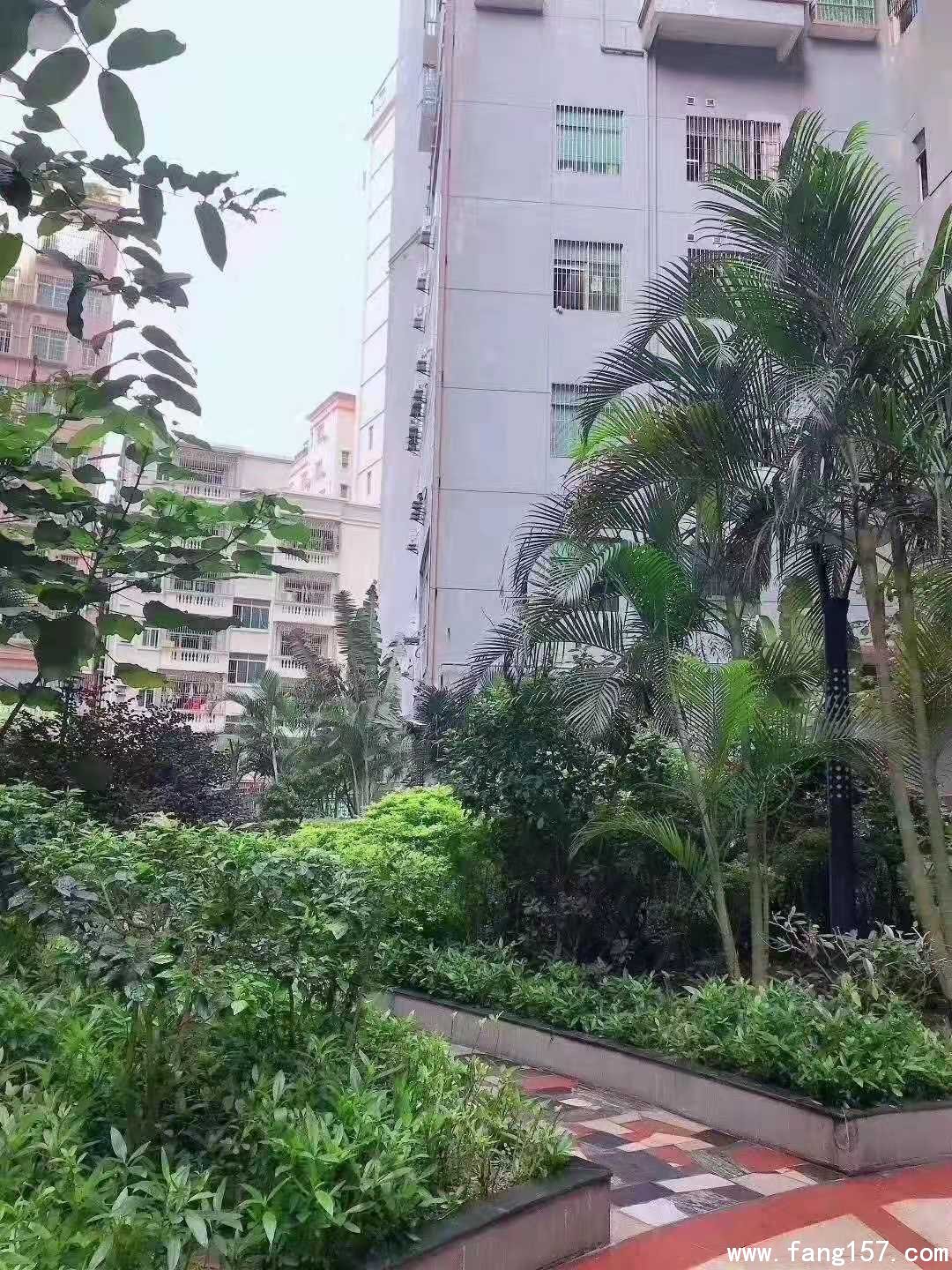 ڲί¥ʮɹ 仧