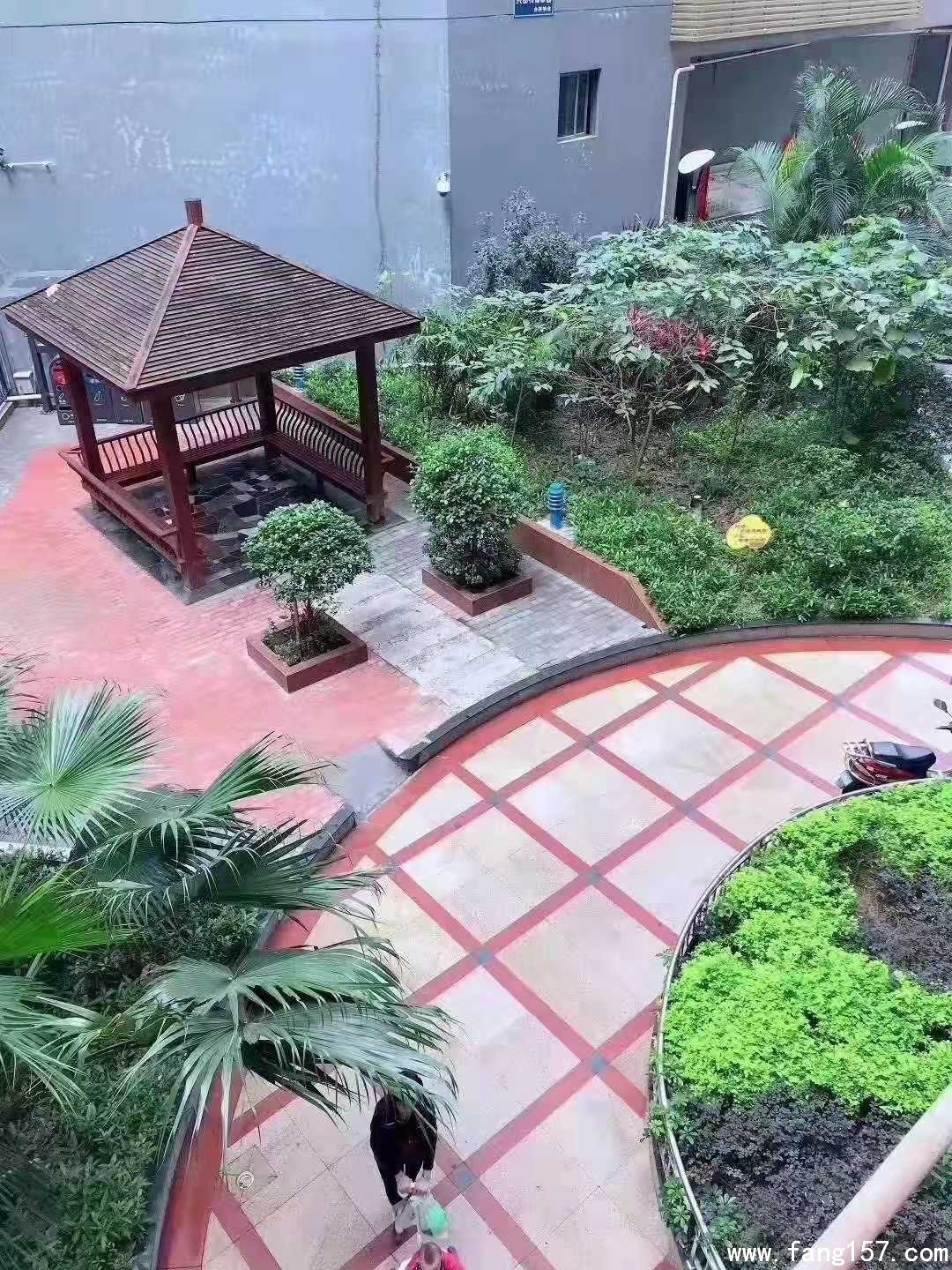 ڲί¥ʮɹ 仧