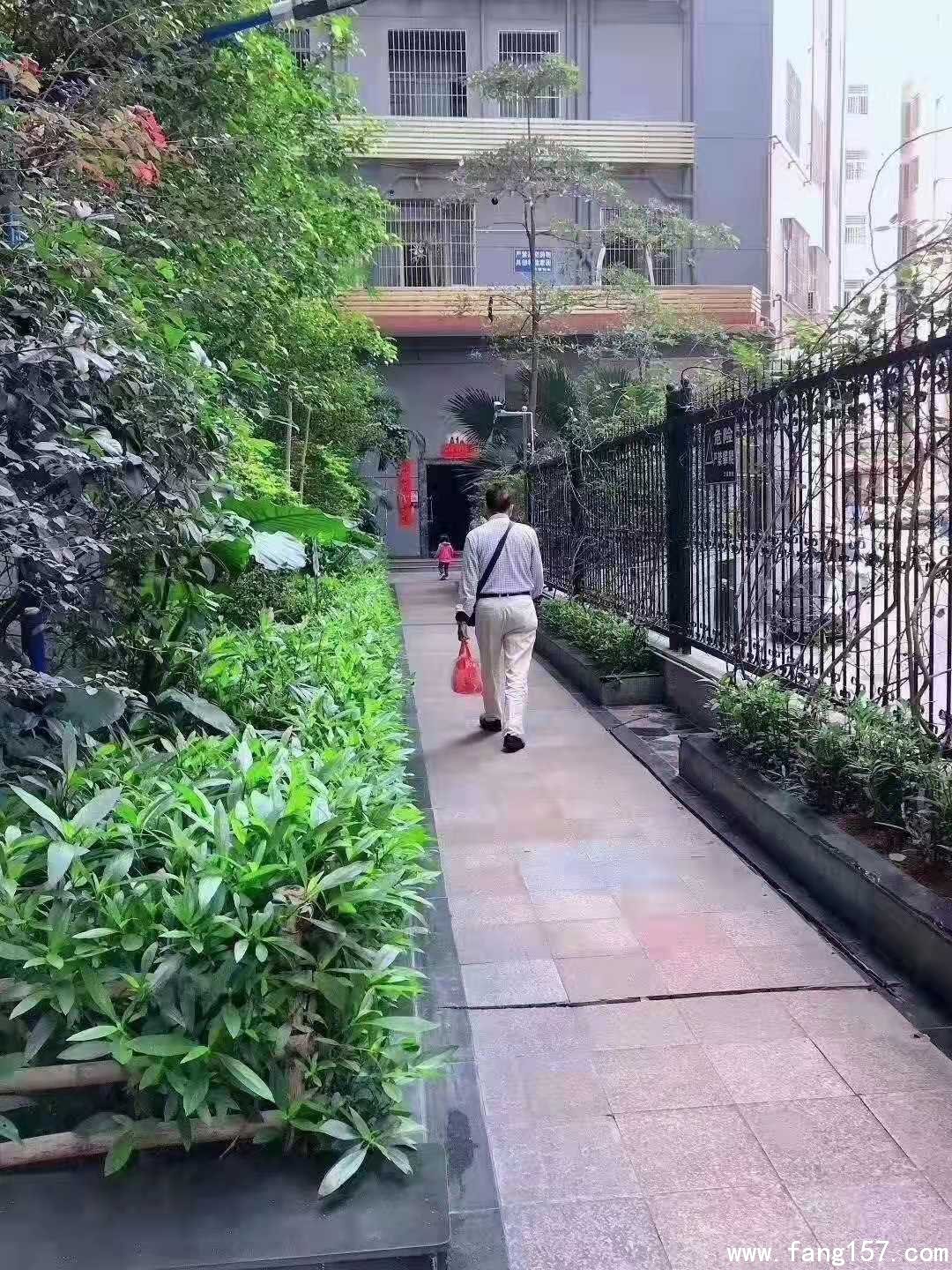 ڲί¥ʮɹ 仧