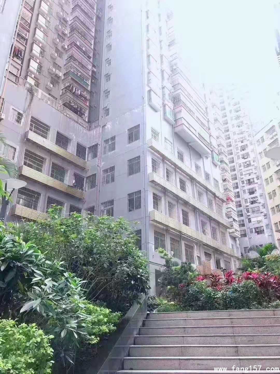ڲί¥ʮɹ 仧