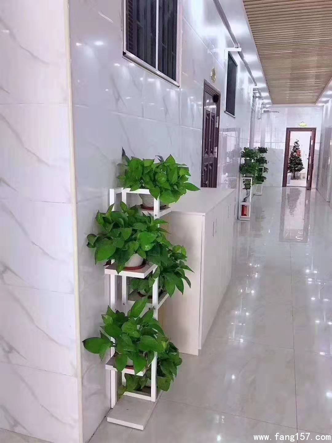 ڲί¥ʮɹ 仧