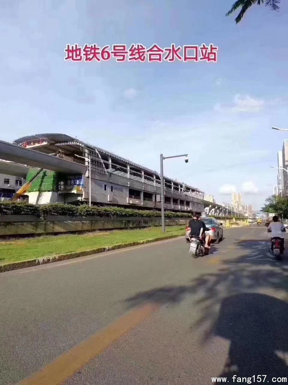 Ǫ ѧž װ