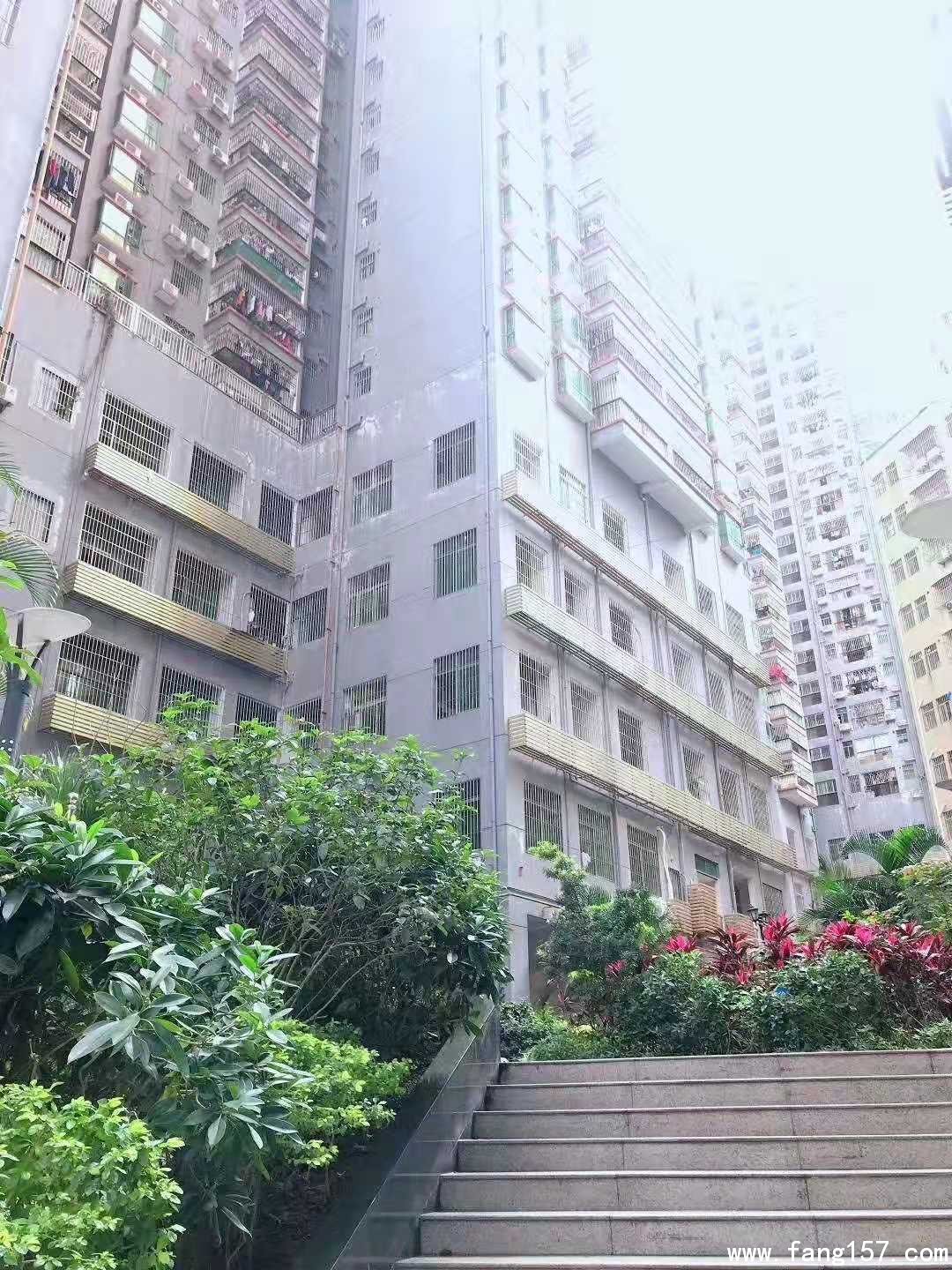 ίͳ¥