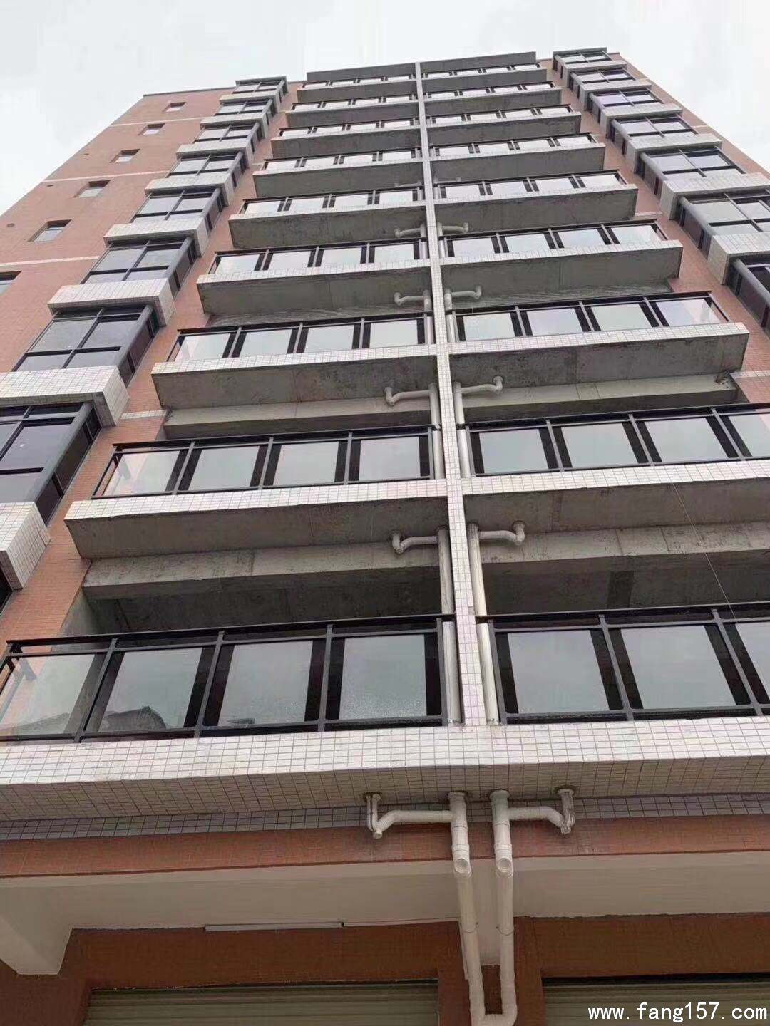 ͻ԰15ôɭֹ԰  ¥ͣ ͨ