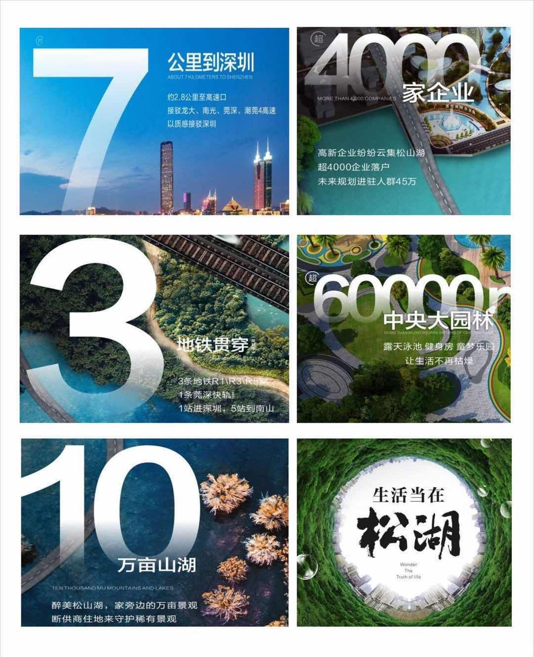 ɽʱ쾳8ģȦ